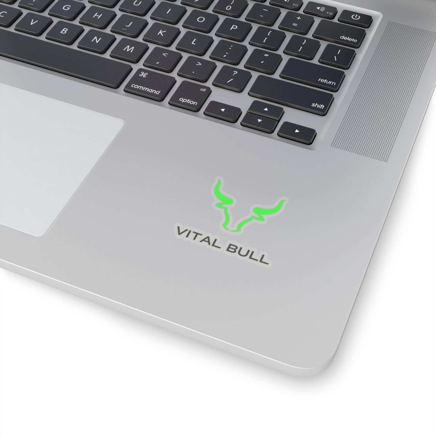 VITAL BULL STICKER